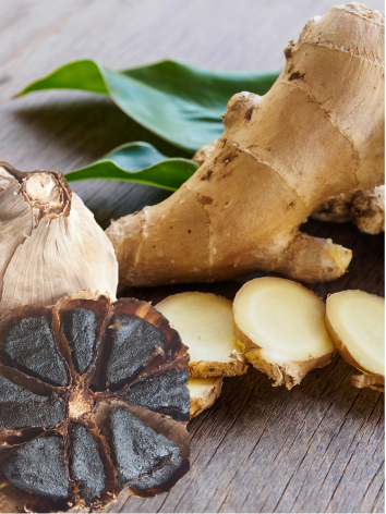 Ginger & Black Garlic