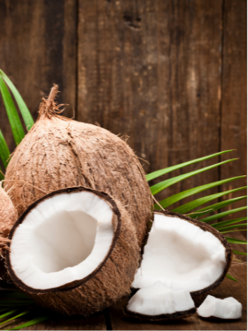 Coconut