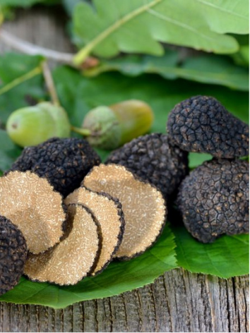 Black Truffle Oil