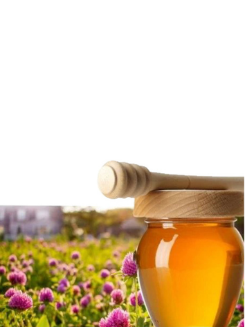 Clover Honey - Huckle Bee