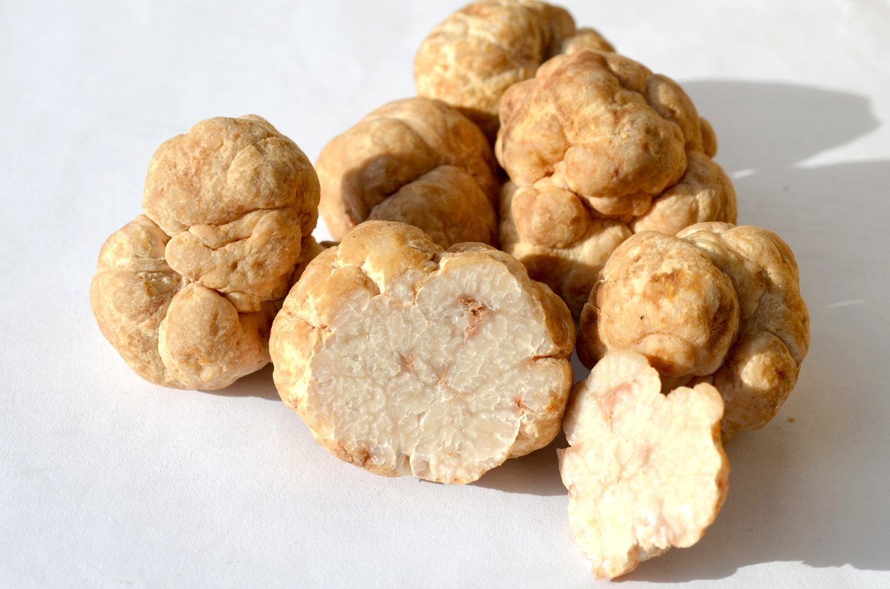 White Truffle Oil - Image 2