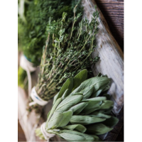 Herbs de Provence - 375 ML