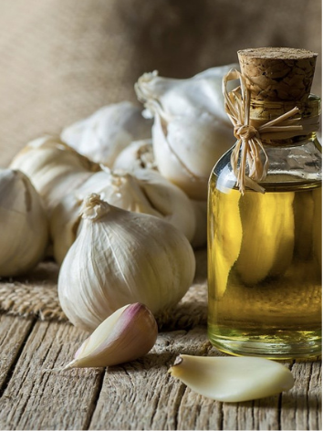 Garlic