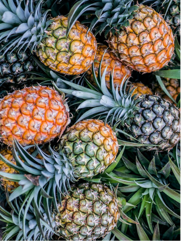 Pineapple