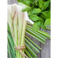 Thai Lemongrass Mint - 60 ML
