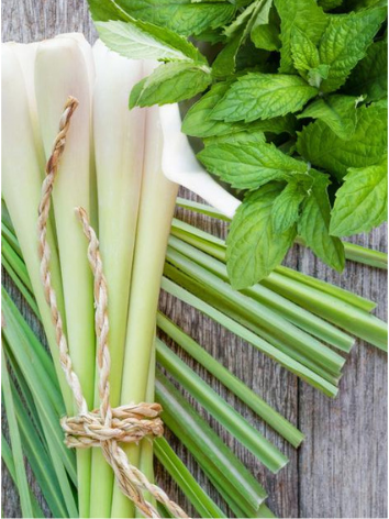 Thai Lemongrass Mint