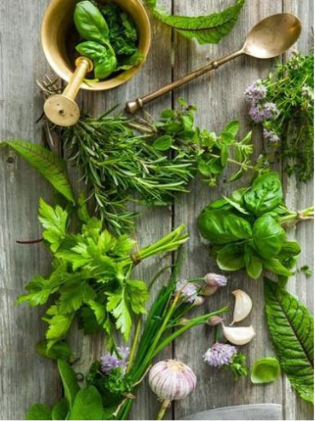 Tuscan Herb