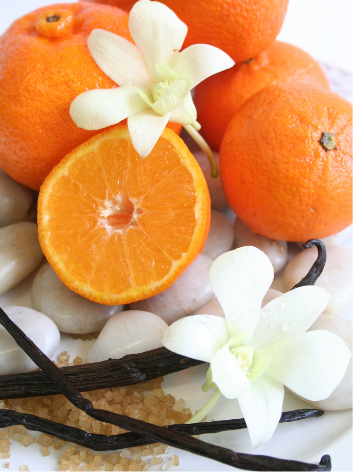 Cara Cara Orange Vanilla